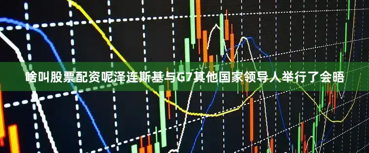 啥叫股票配资呢泽连斯基与G7其他国家领导人举行了会晤