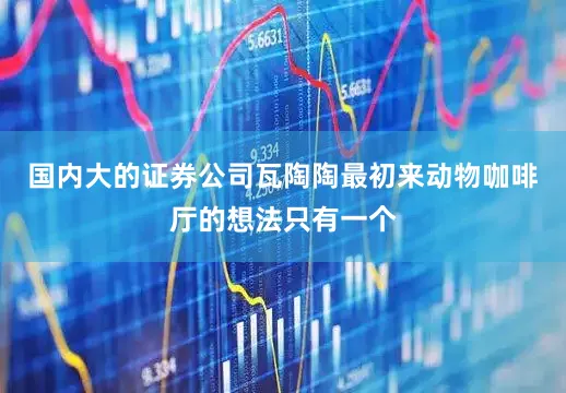 国内大的证券公司瓦陶陶最初来动物咖啡厅的想法只有一个