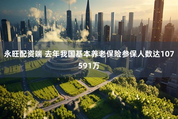 永旺配资端 去年我国基本养老保险参保人数达107591万